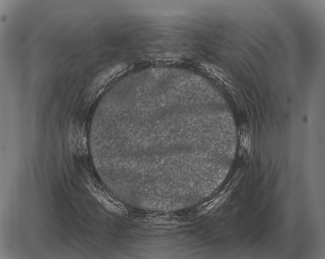 X0000085041252200703261303