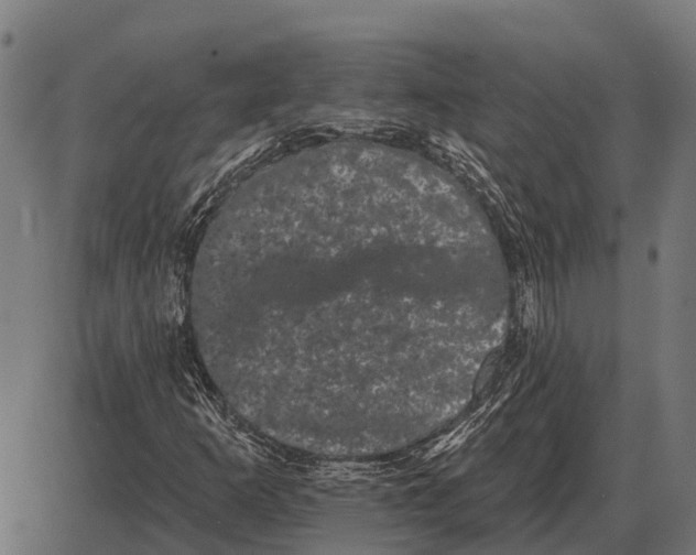 X0000085041253200703261303