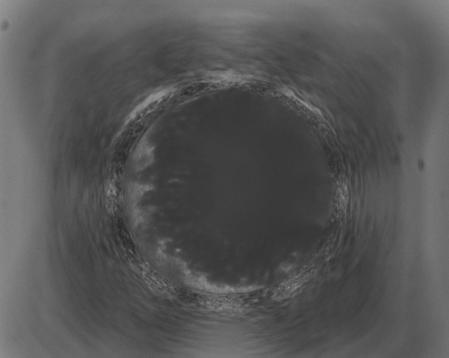 X0000085041254200703261303