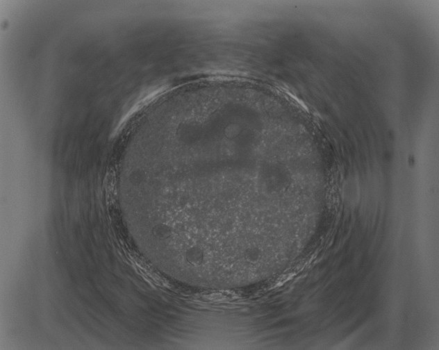 X0000085041255200703261303