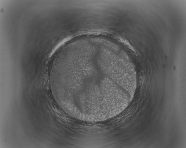 X0000085041256200703261303