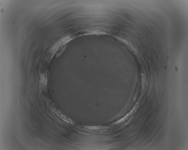 X0000085041257200703261303