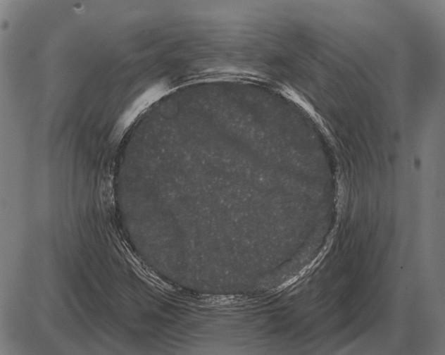 X0000085041259200703261303