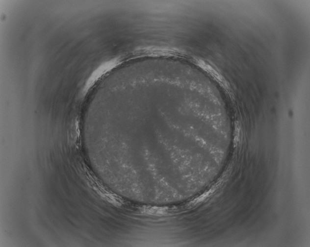 X0000085041261200703261303