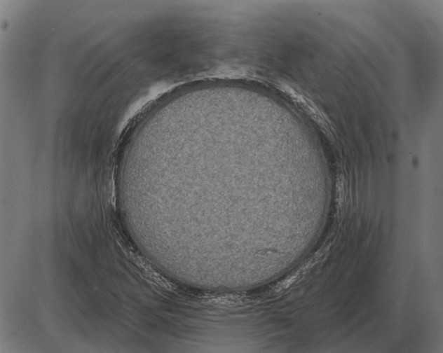 X0000085041262200703261303