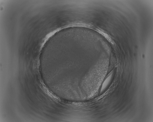 X0000085041264200703261303