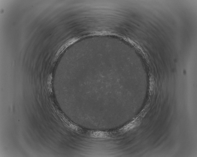 X0000085041265200703261303