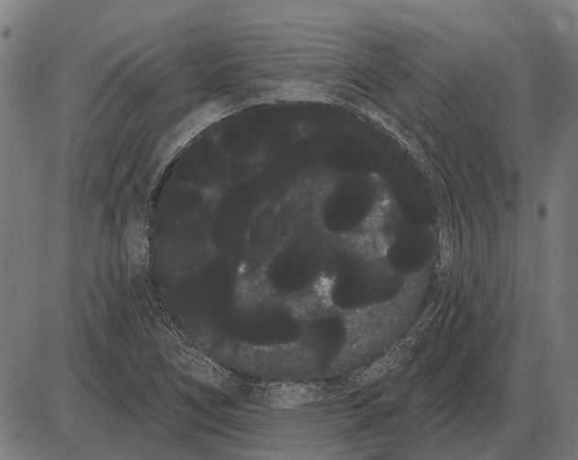 X0000085041266200703261303