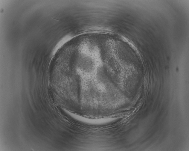 X0000085041267200703261303