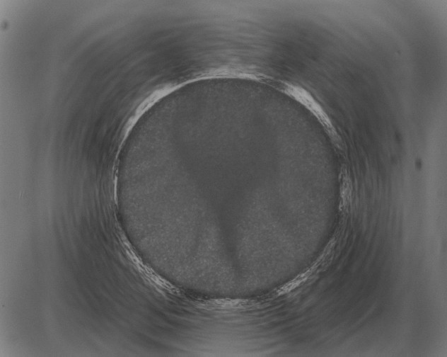 X0000085041268200703261303