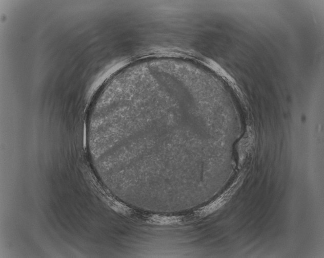 X0000085041269200703261303