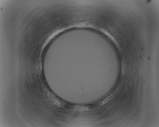 X0000085041270200703261302