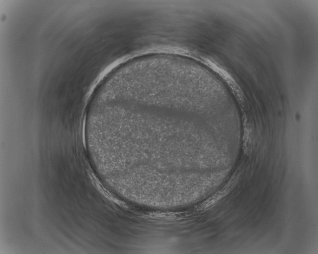 X0000085041272200703261302