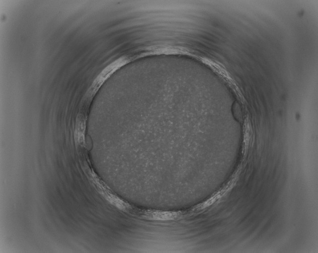 X0000085041273200703261302