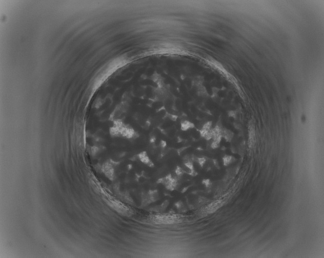 X0000085041274200703261302