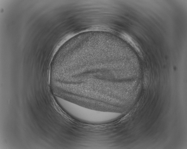 X0000085041276200703261302