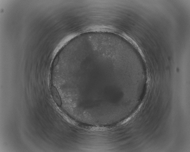 X0000085041277200703261302