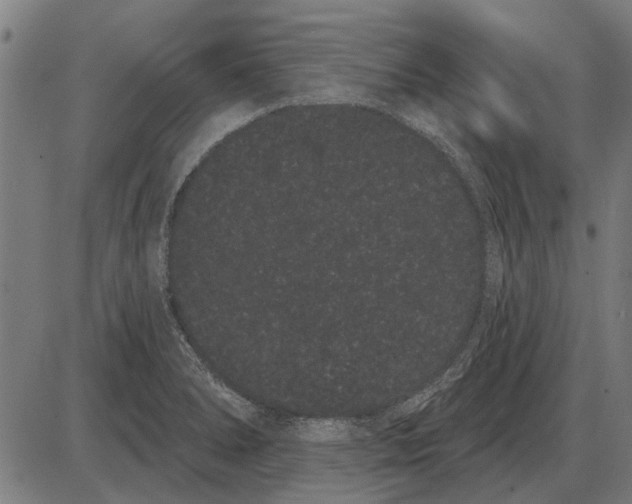 X0000085041278200703261302