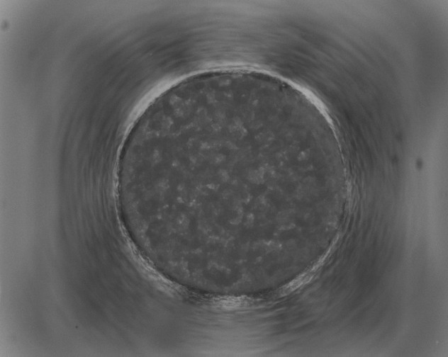 X0000085041279200703261302