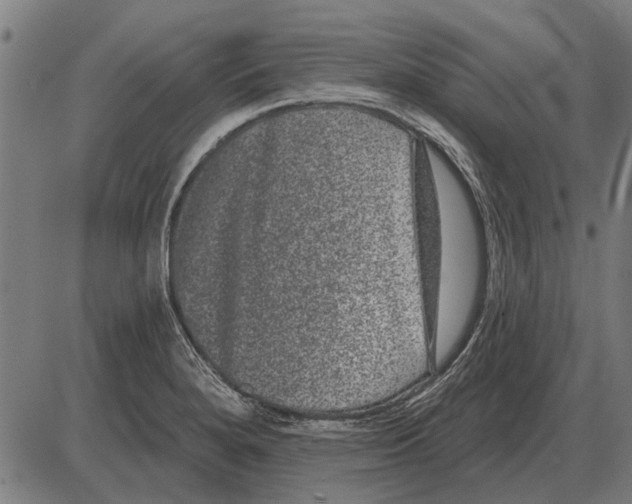 X0000085041280200703261302