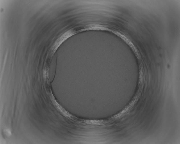 X0000085041281200703261302