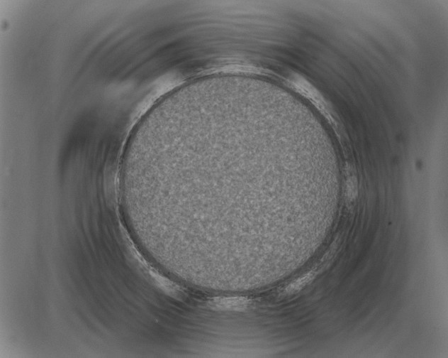 X0000085041282200703261302