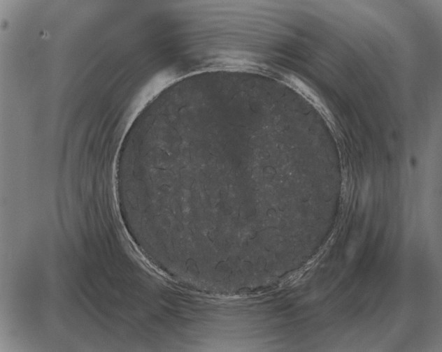 X0000085041283200703261302