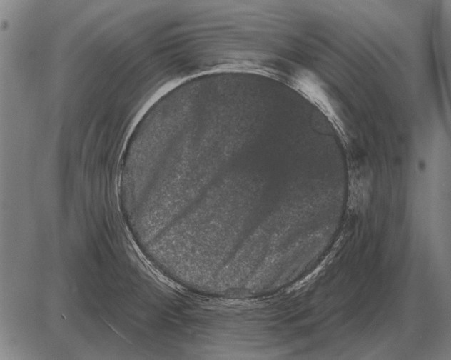 X0000085041284200703261302