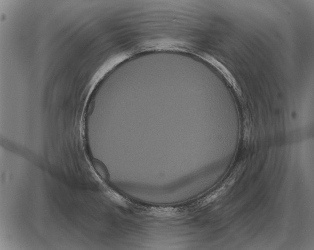 X0000085041285200703261302