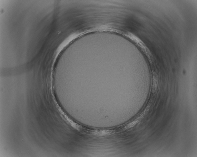 X0000085041286200703261302