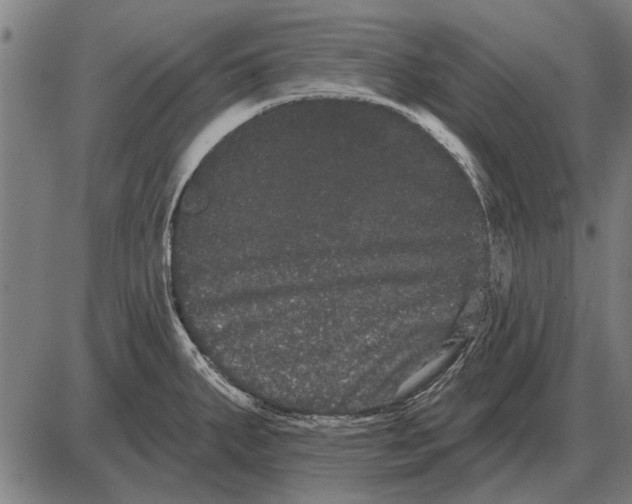 X0000085041287200703261302