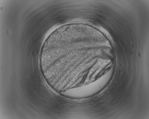 X0000085041288200703261302