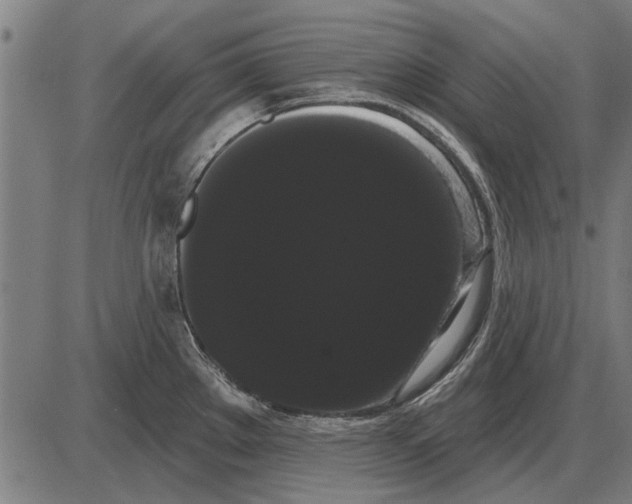 X0000085041289200703261302