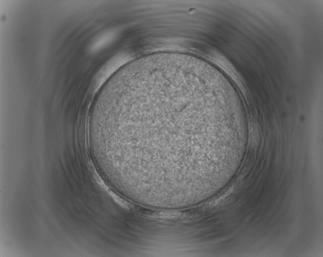 X0000085041290200703261302