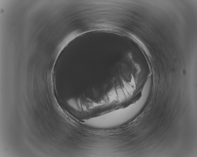 X0000085041291200703261302