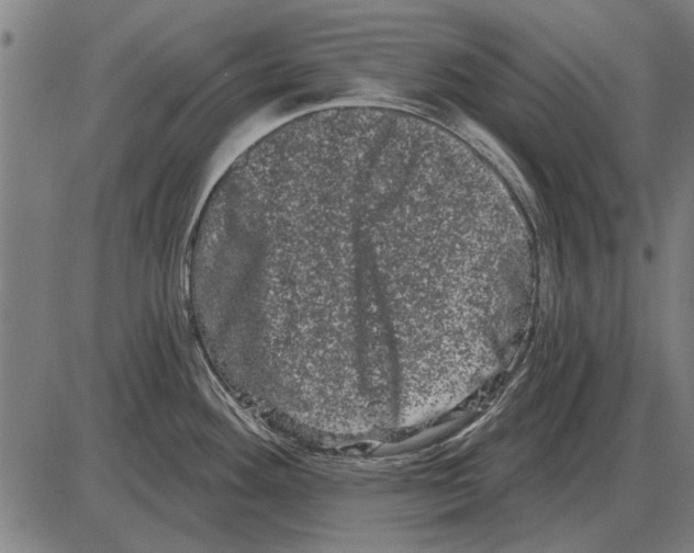 X0000085041292200703261302