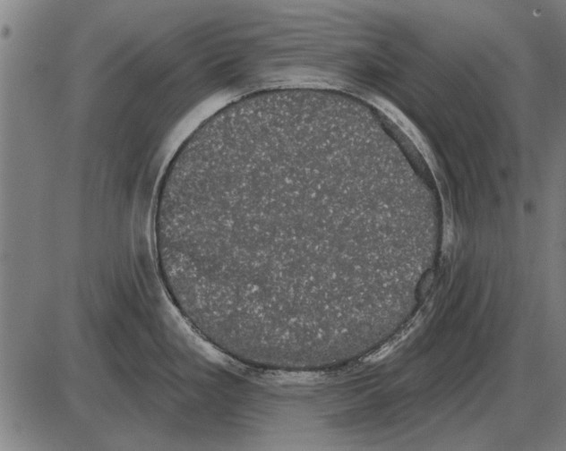 X0000085041293200703261302