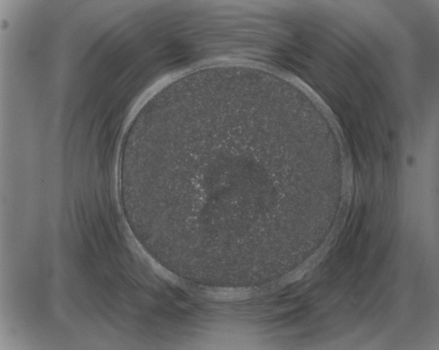 X0000085041294200703261302