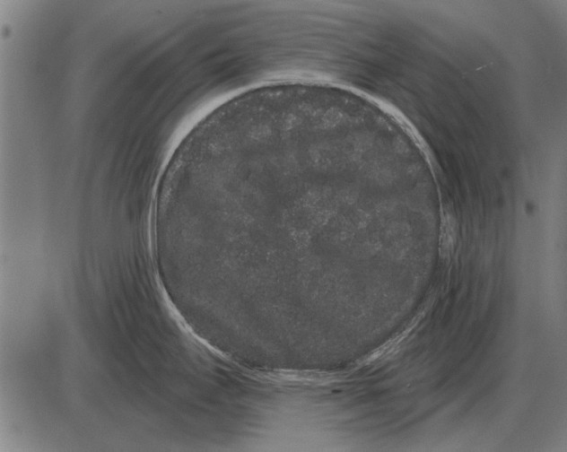 X0000085041295200703261302