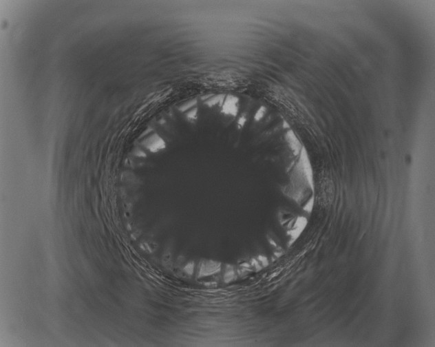 X0000085041297200703261301