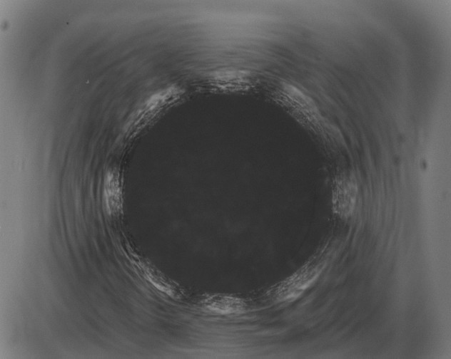 X0000085041298200703261301