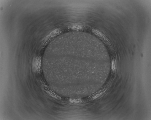 X0000085041299200703261301