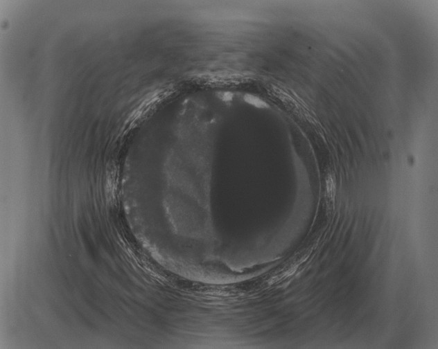 X0000085041300200703261301