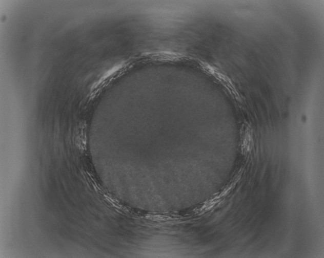 X0000085041301200703261301