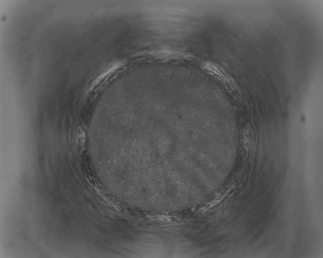 X0000085041302200703261301