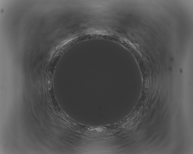 X0000085041303200703261301