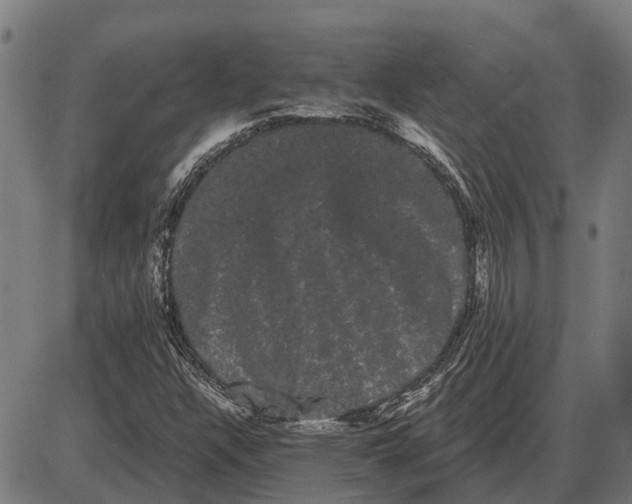 X0000085041304200703261301