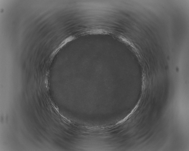 X0000085041305200703261301