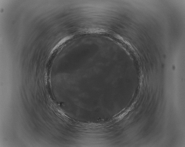 X0000085041306200703261301