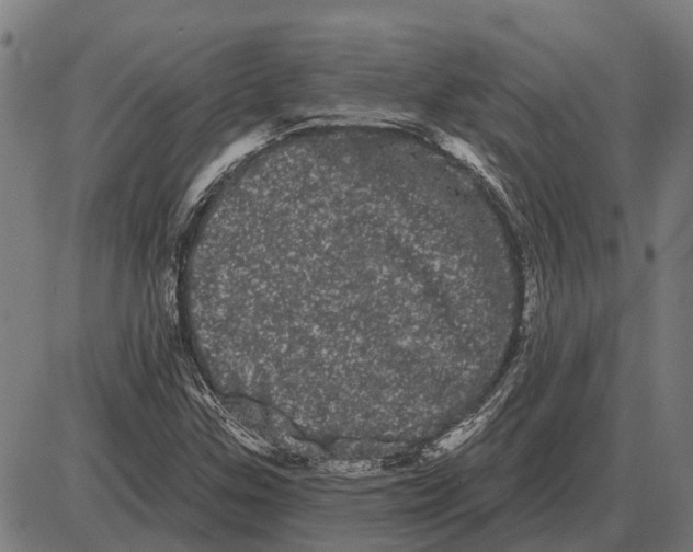 X0000085041307200703261301